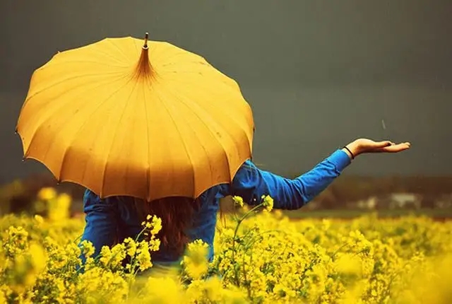Pagoda Umbrella