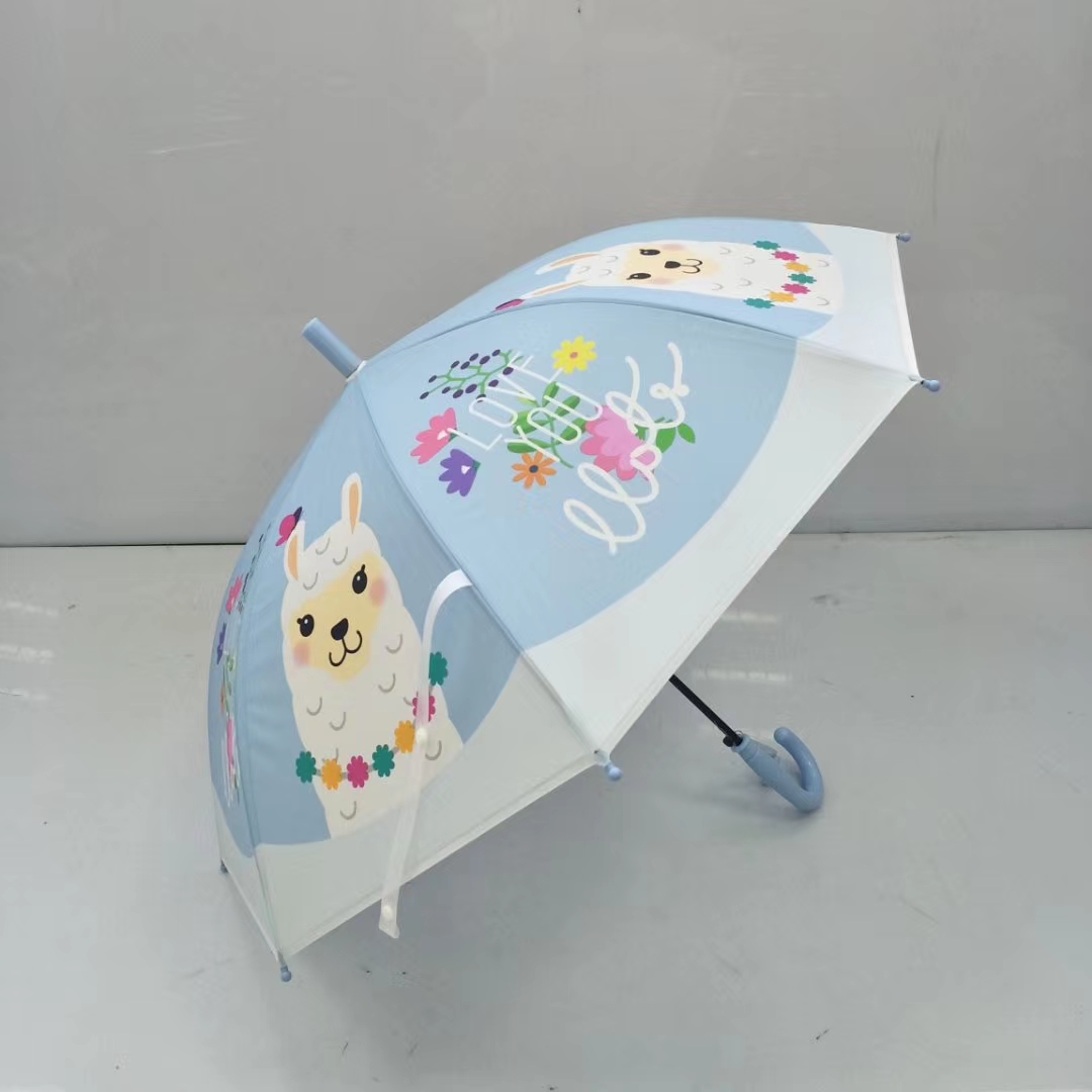 Kids Umbrella and Raincoat