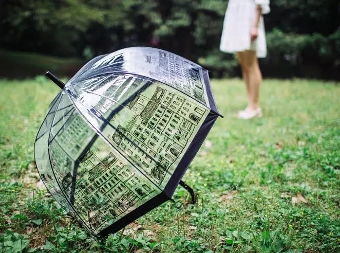 Transparent Bird Cage Dome Umbrella