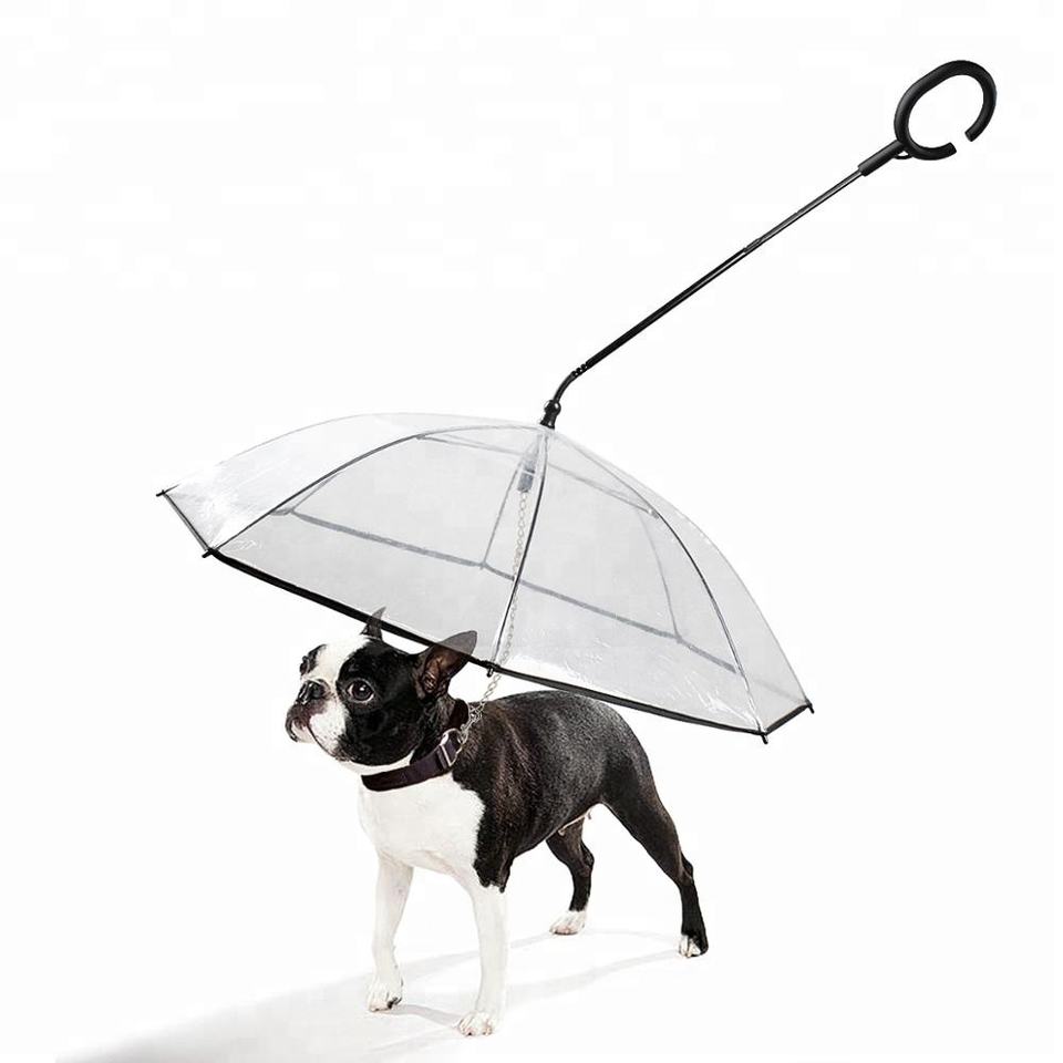Pet's Umbrella